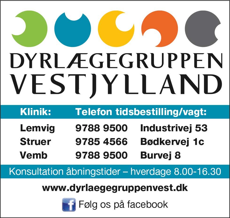 Dyrlægegruppen Vestjylland